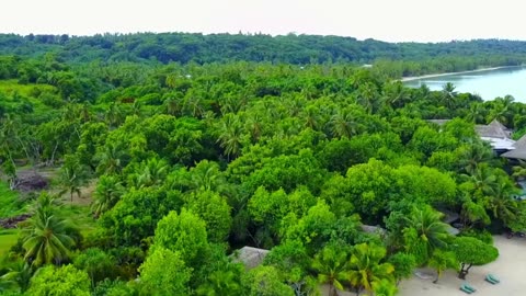 Classical Mornings: Productivity Edition