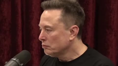 Elon - NGOs I Took Their Money Away