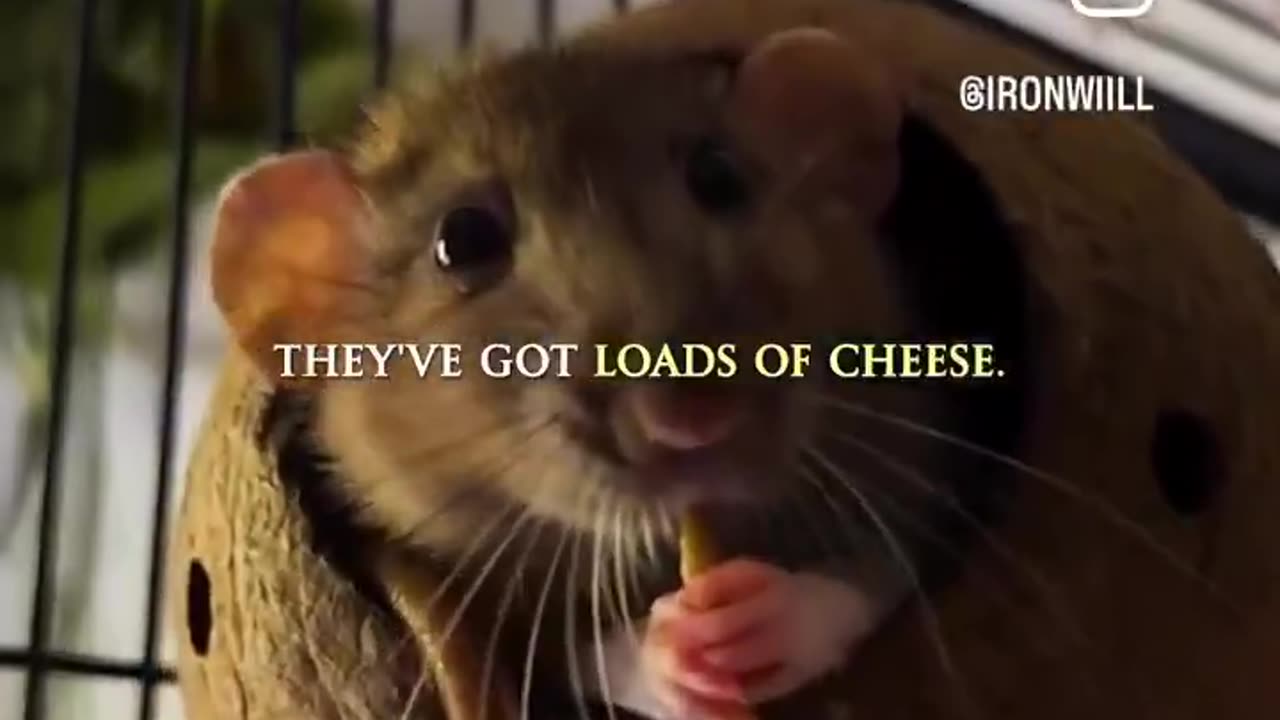 We Thought We Understoood Addictions