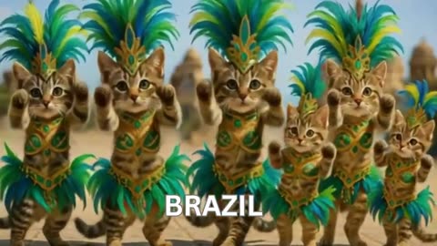 Cutest Cat videos funny dance🤣💃Dancing videos for cats😻👍🏽