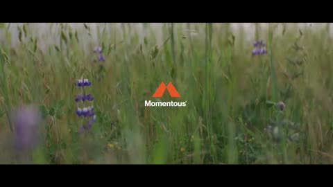 US Sports Partner Spotlight: Momentous