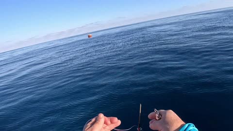 Destin Florida overnight bluewater fishing Gulf of America