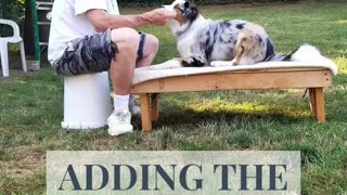Back to the Basic Adding Verbal Cue short 1