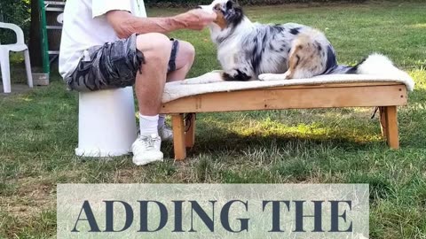 Back to the Basic Adding Verbal Cue short 1