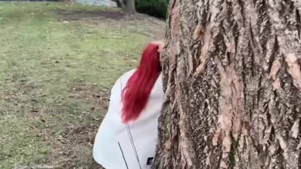Funny Moments