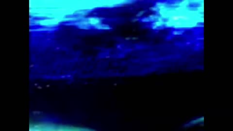 Finding Nemo Whale Darkness