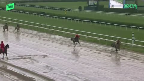 2025 Belmont Gold Cup | Melbourne Cup Golden Ticket Race