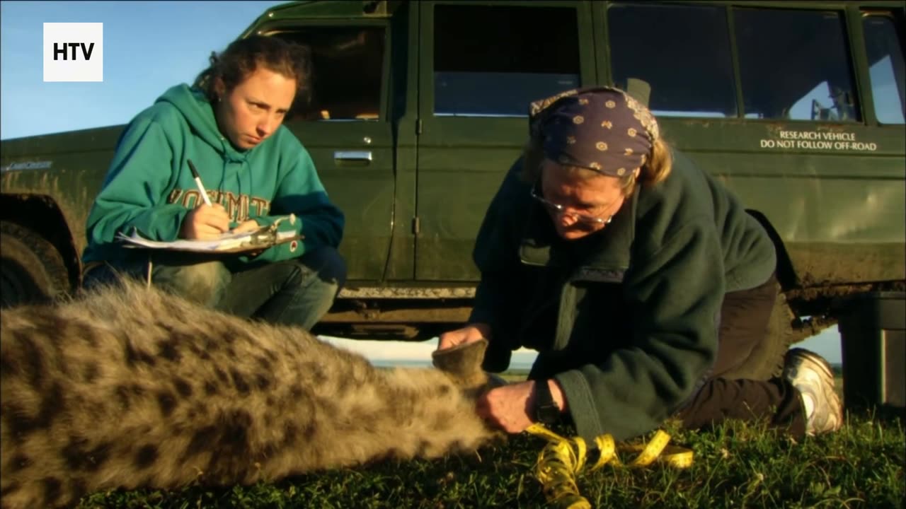 Predators, Prey & the Pulse of Survival