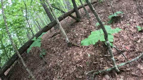 Can this retard make it to the tree before he touches lava Day: 1