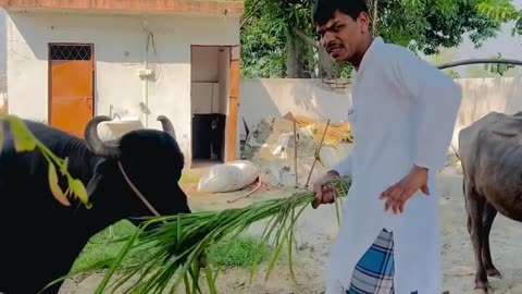 COMEDY VIDEOS 😂😂😂🤣🤣🤣