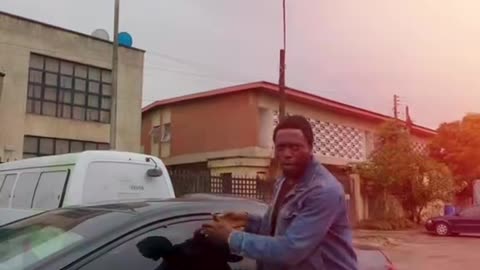 Tinted Permit
