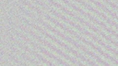 test1