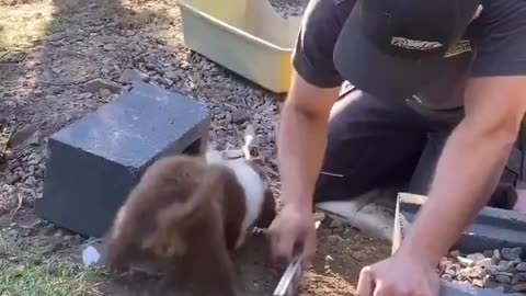 “I’m helping” 😅