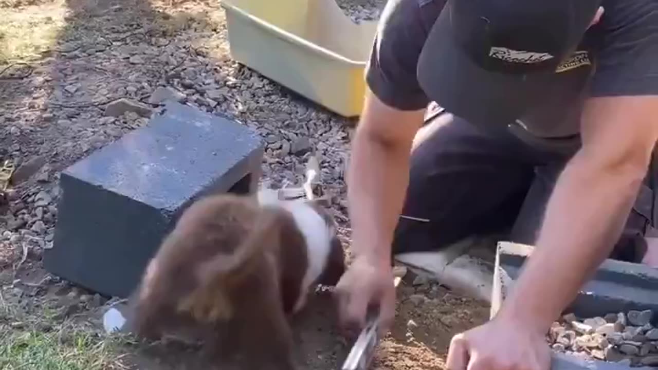 “I’m helping” 😅
