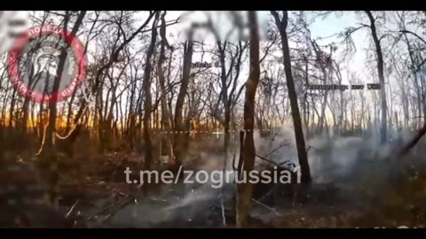 🔥🇷🇺 Ukraine Russia War | Russian Fiber-Optics FPV Drone Strikes UAF in Sumy | RCF