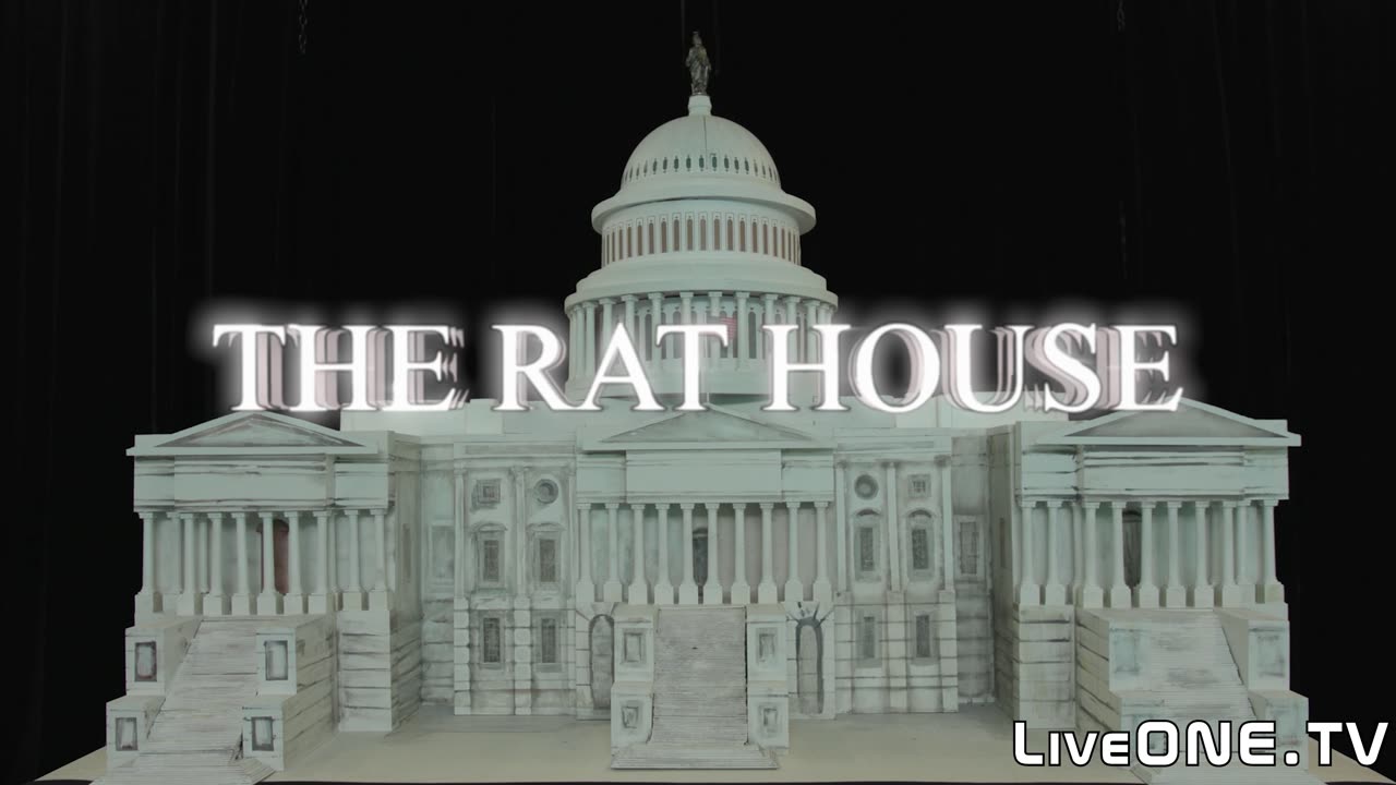 CHAOS IN THE RAT HOUSE - RODENTS CAUGHT BY DOGE AUDIT
