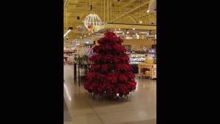 FATHER GOD!! I LOOK TO YOU!! PRAYING!! AMEN!! 12102025