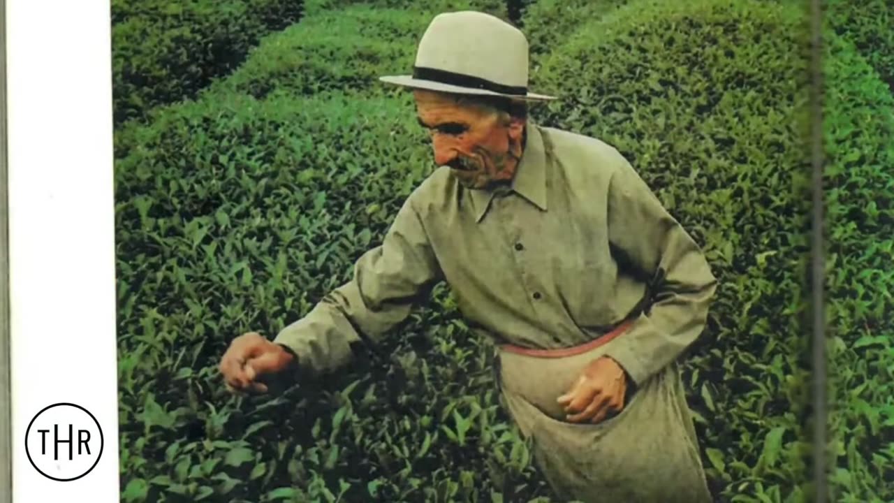 Cancer and heart disease never used to exist.