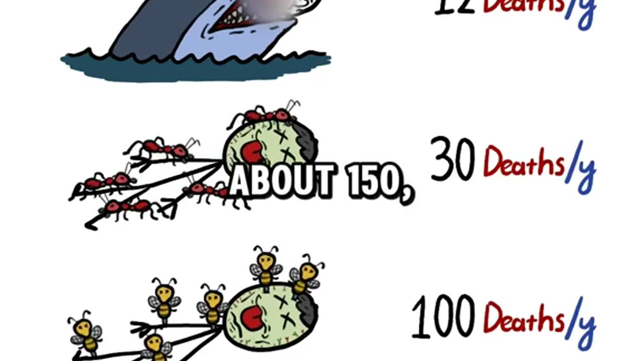 Sharks are not fearsome as you think.