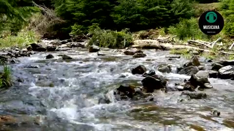 Inspirational Background Music For Videos