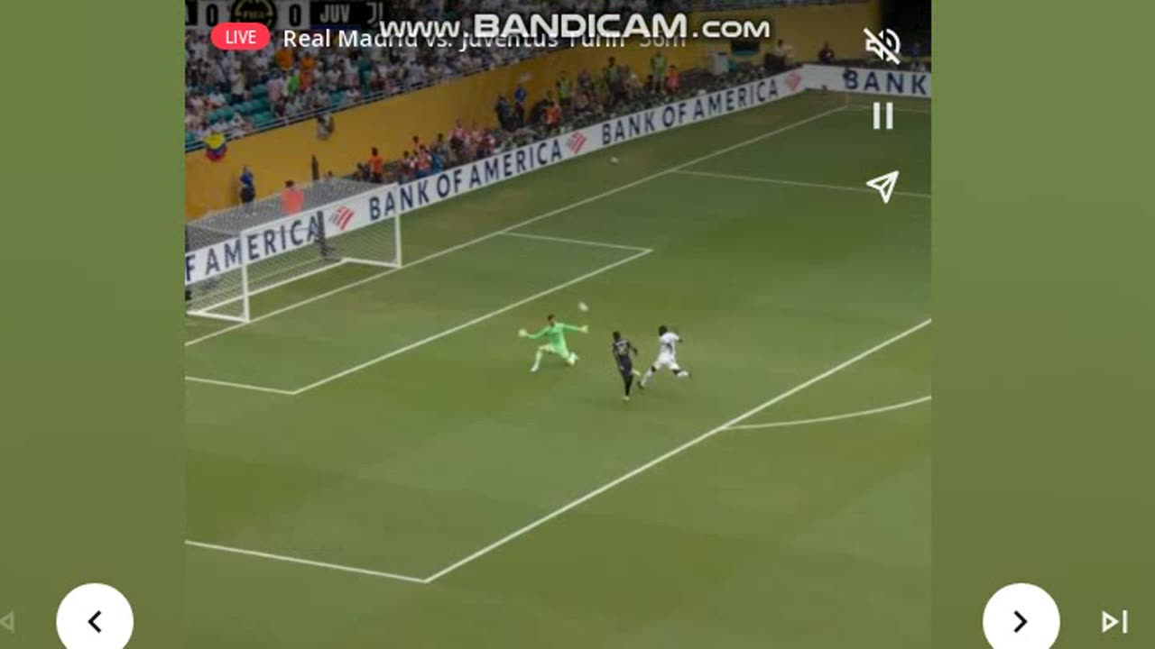 kolo muani rast ideal min 8