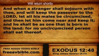 The Bible ... Cover to Cover Marathon and More