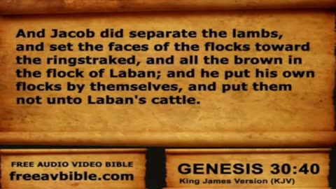 The Bible ... Cover to cover