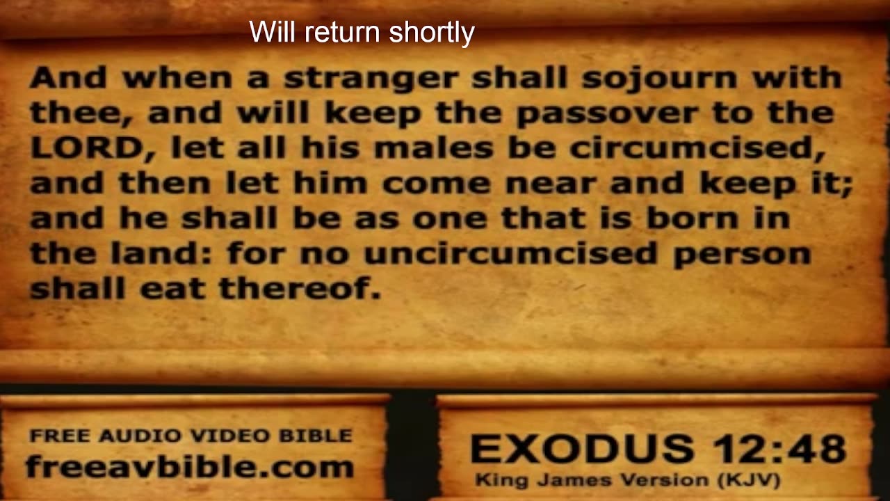 The Bible ... Cover to Cover Marathon and More