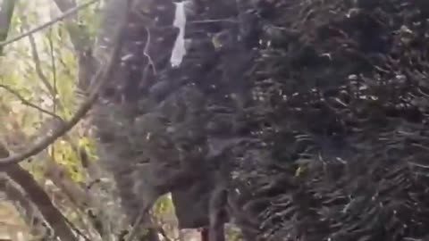 🔧🚙 Ukraine Russia War | Russian Tanks 'Sheathed' with Metal Wires | RCF