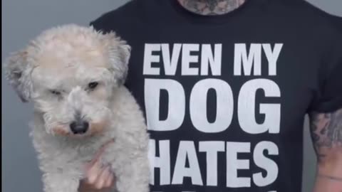 Gavin Newsom vs Tom MacDonald Diss Battle.