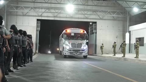 238 Venezuelan gang members from the US just got sent to El Salvadors Mega Prison
