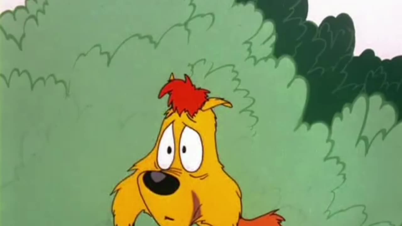 No Barking (1954) ChuckJones