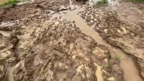 Rain Fishing