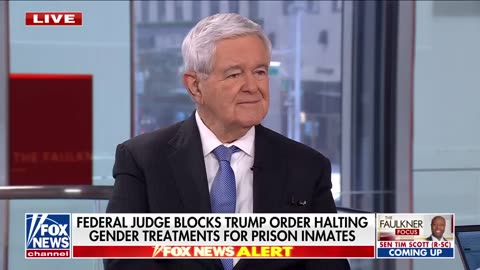Newt Gingrich on who is taking over the presidency