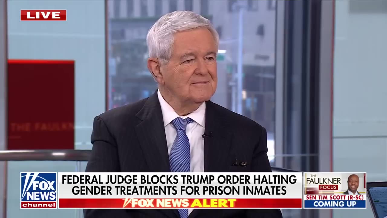Newt Gingrich on who is taking over the presidency