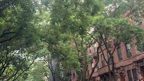🎉✊ Epic Juneteenth Celebrations in Harlem You Can't Miss! | FunFM