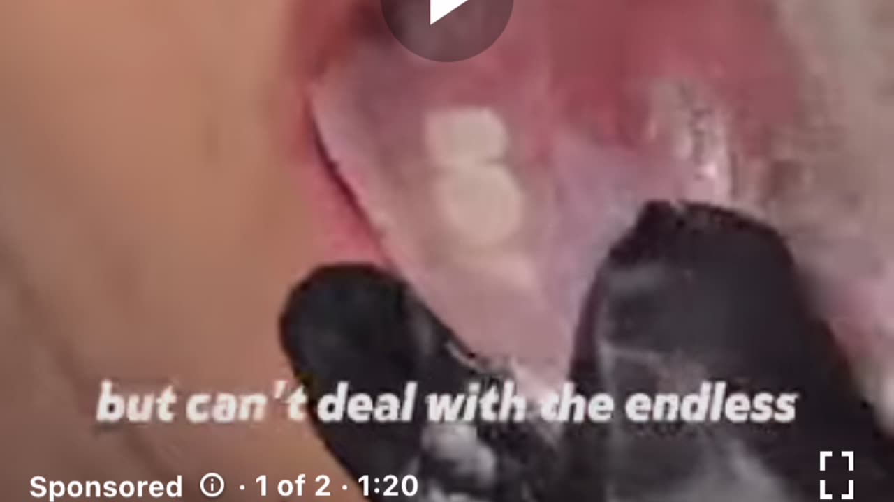 Blame whoever you want