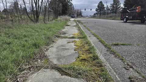 I Discovered A MOSS INFESTED Sidewalk And SCRAPED It Clean_part14