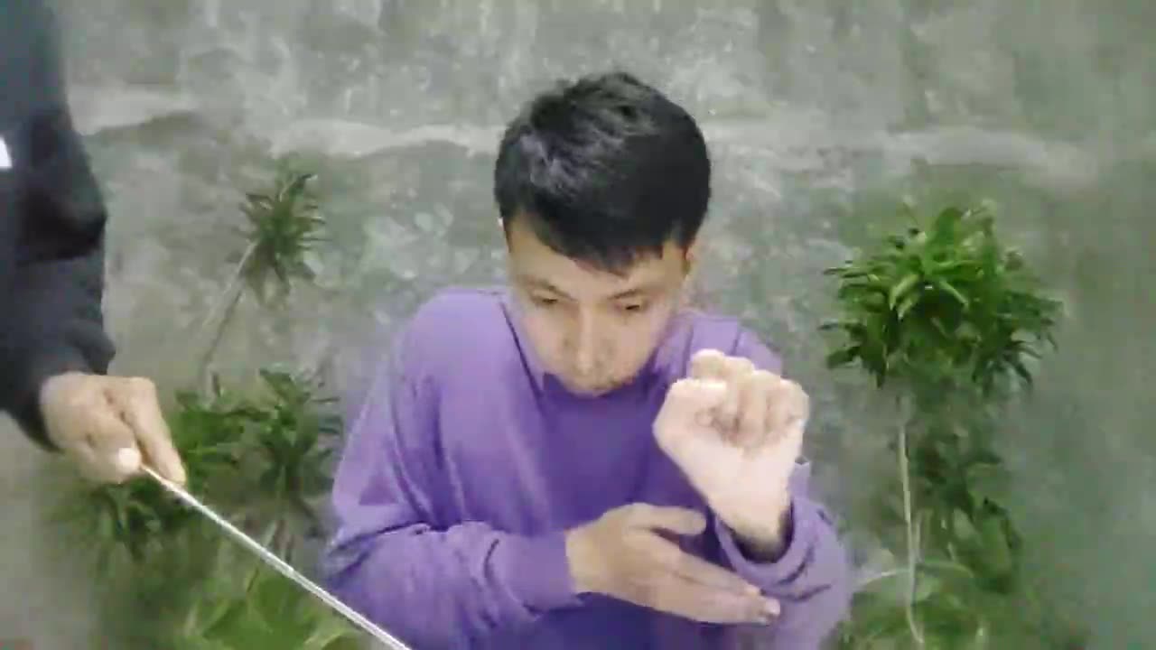 1st December 2024, DWG Sunday School