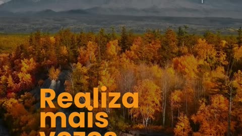 Formação Profissional