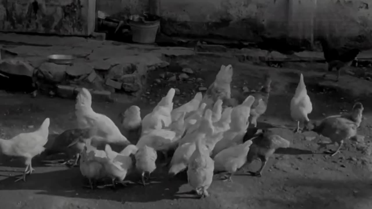 40 gradi all'ombra negli anni 60