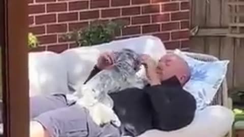 Dads and the dogs they said they never wanted.