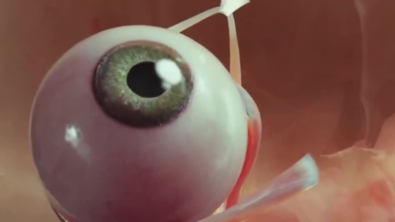 Movement of eyeball