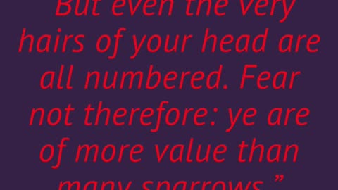 DTLTs Weekly Scripture: 1/5/26