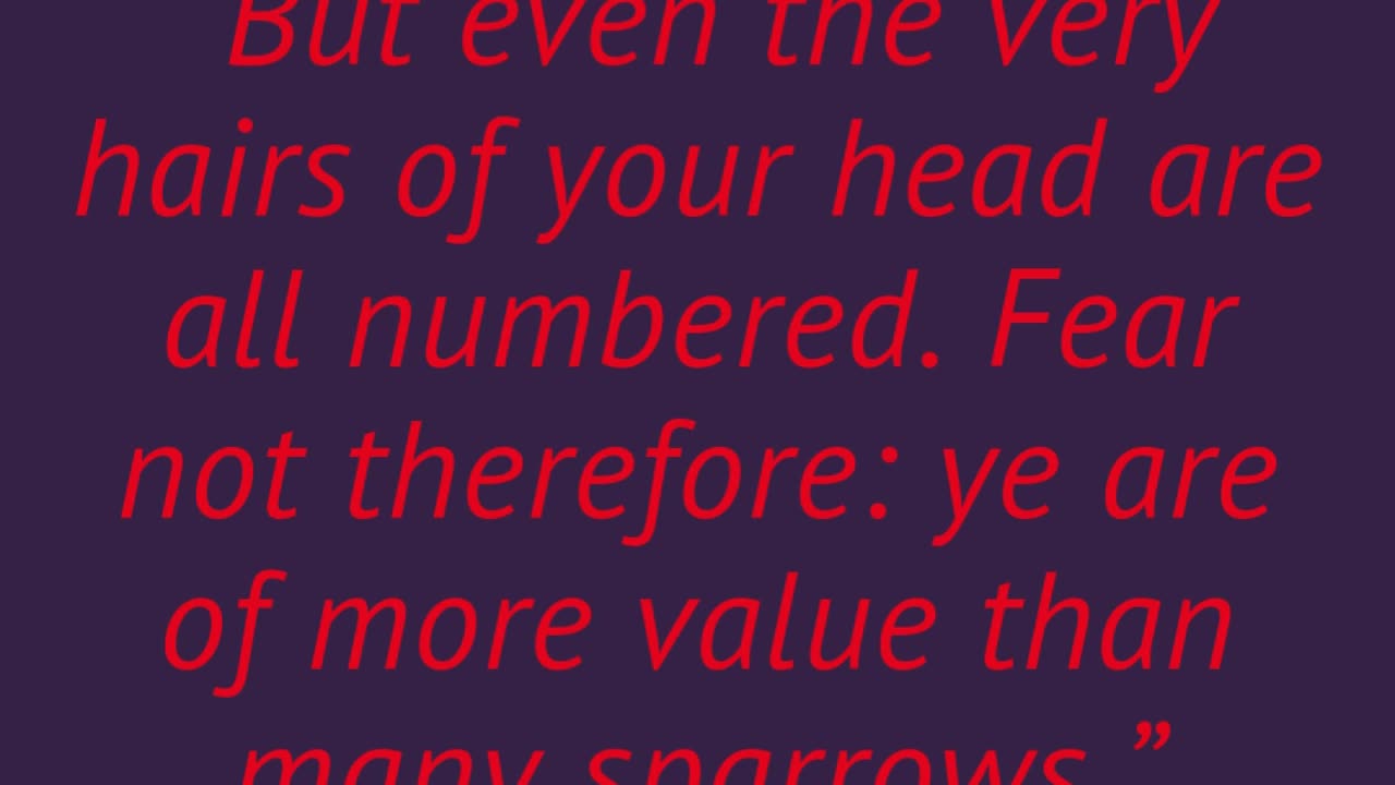 DTLTs Weekly Scripture: 1/5/26