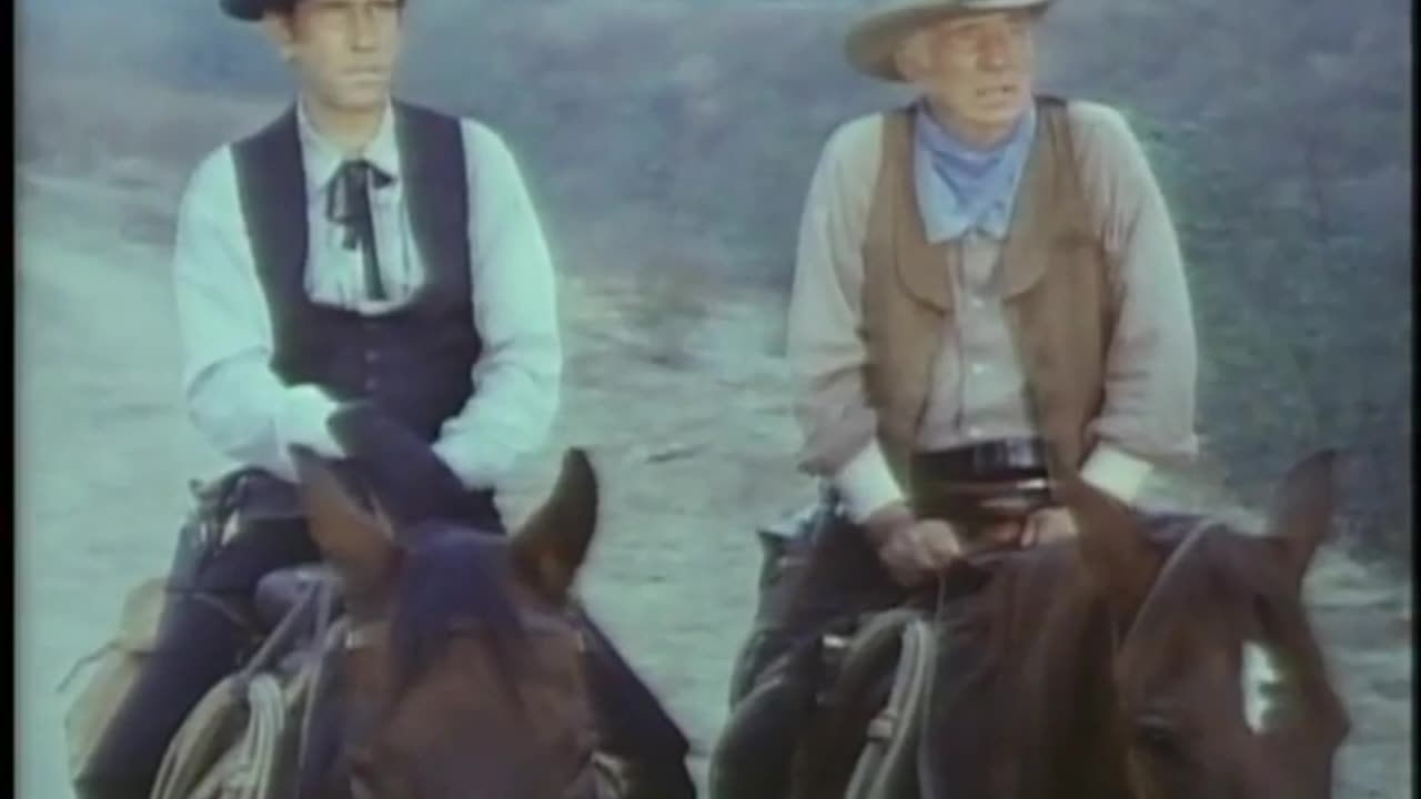 WILLSONNETTD2 Movie 11 3