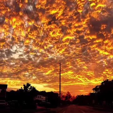 Link in about section