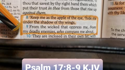 Keep Me As The Apple Of The Eye..