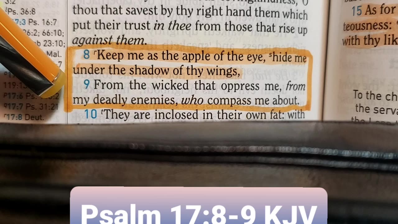 Keep Me As The Apple Of The Eye..