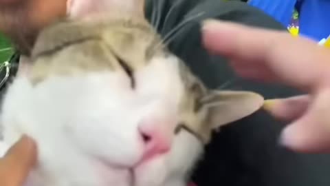 So cute